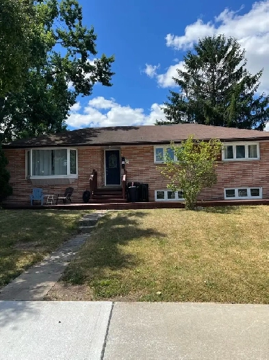 Basement for Rent Image# 1