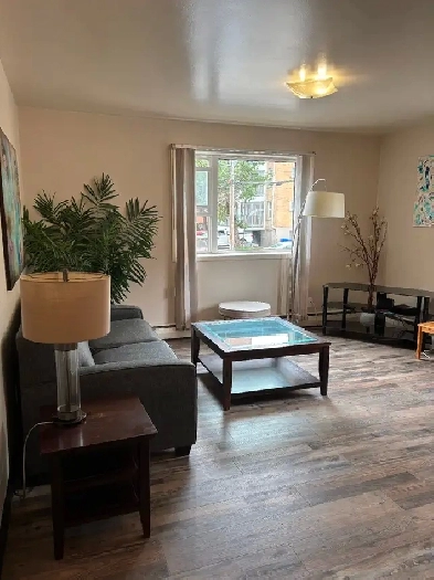 Fully furnished studio and 1 bedroom condo long and short term Image# 2