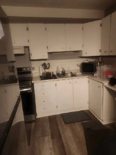 Downtown Kemptville 1 Bedroom Apartment Sept 1st Image# 6