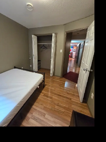 One bedroom rental/roommate Image# 1