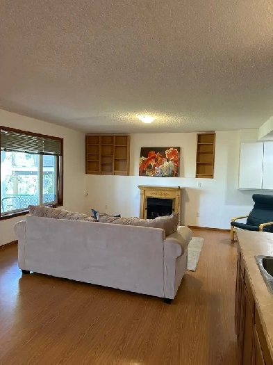 cochrane walkout  bachelor suite for Rent Image# 2