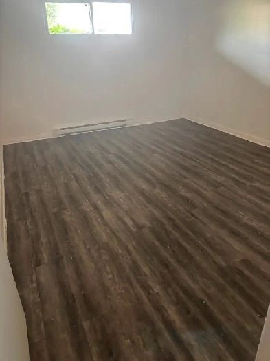 One bedroom apartment Image# 4