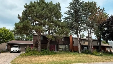 2 Bedroom (furnished) and 1 Bath basement - Aug 15 or Sept 1 Image# 4