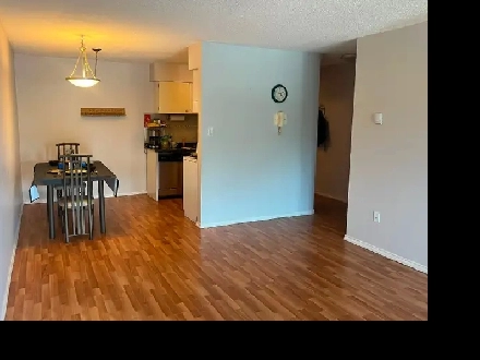 AVAILABLE AUG 1ST — 1-bedroom apartment — $1,675 Image# 1