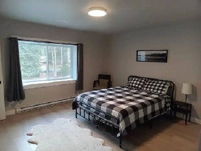 3 Bedroom Suite (Whitecroft) Image# 1