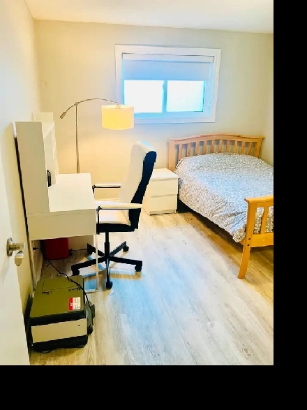 Room For Rent In London, Ontario Image# 5