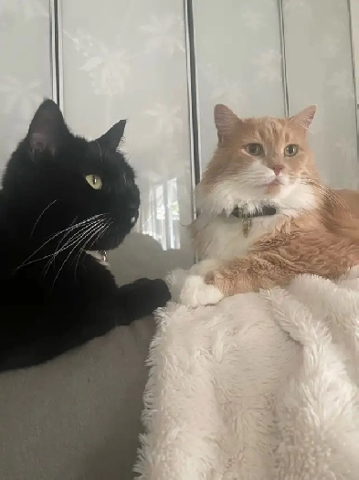 Looking for your next tenant in Stratford? Image# 1