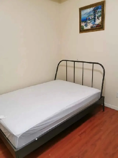 The room for rent near york university campus Image# 1