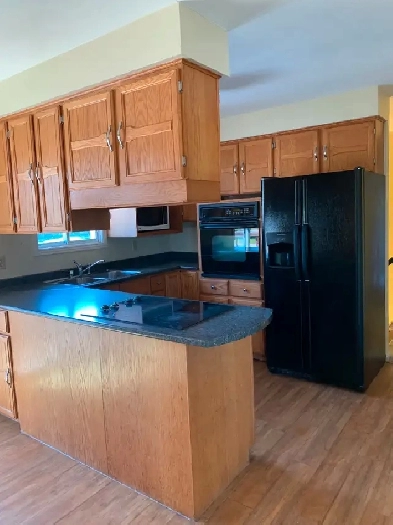 Student Rooms for Rent – Education Students Wanted Image# 5