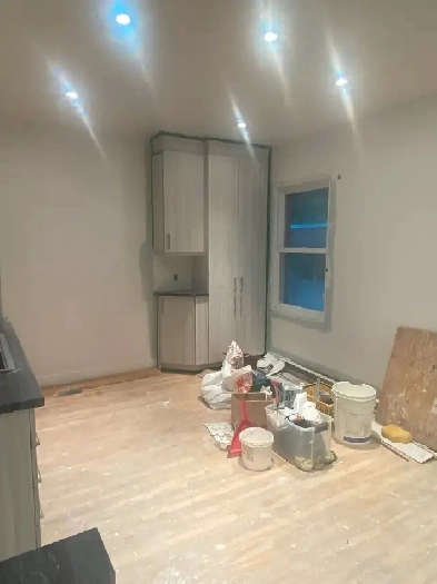 Charmant 4 1/2. Rénover. 0.6 km metro , Disponible 1 septembre. Image# 1