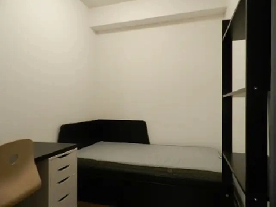 1 1 Condo looking for female roommate Image# 1