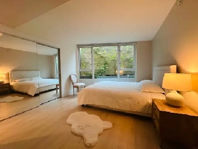 Rare Yaletown Waterfront 2bed 2bath  den with massive patio Image# 1