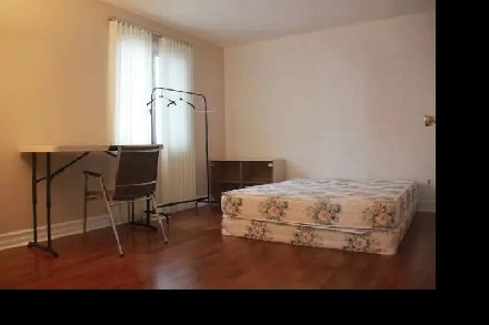 Bright Master Bedroom Near O-Train, Plaza, & Carleton U，Southkey Image# 6