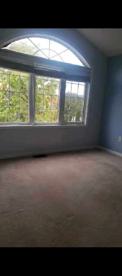 Private room for rent Image# 1