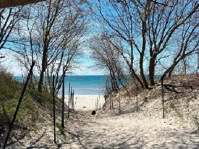 house for rent Image# 1