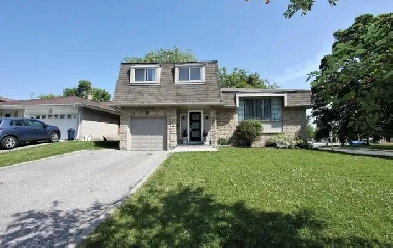 All inclusive 1 bed& 1 Parking Half Basement for lease Image# 1