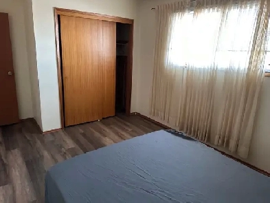 Looking for a female roommate Image# 1