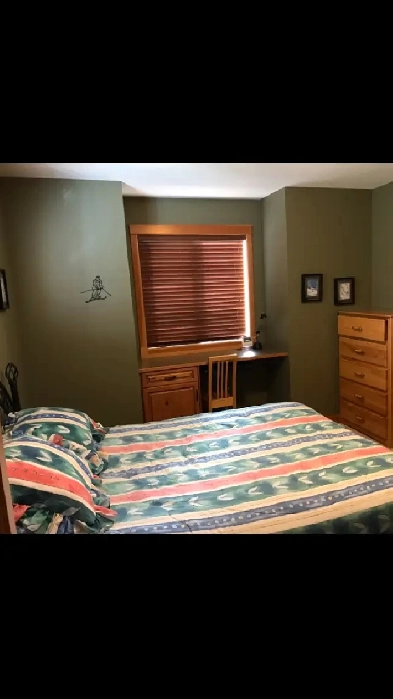 Looking for a Female Roommate in Canmore Image# 1