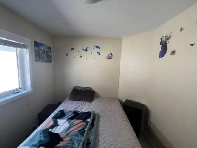 Room for Rent Image# 4