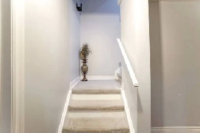 Studio Basement for Rent Image# 1