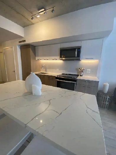 LUXURY FURNISHED 2BD 2BTH W BALCONY & INFINITY POOL in TO!! Image# 1