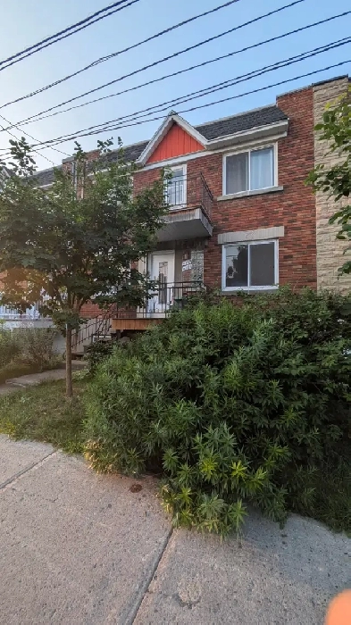 Duplex à vendre Image# 7