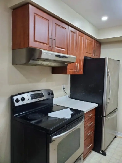 Full House for Rent, including the Basement Image# 1