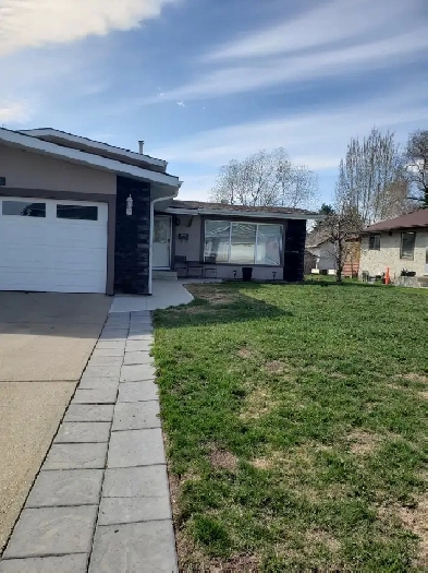 Basement Suite for Rent by West Edmonton Mall Image# 1