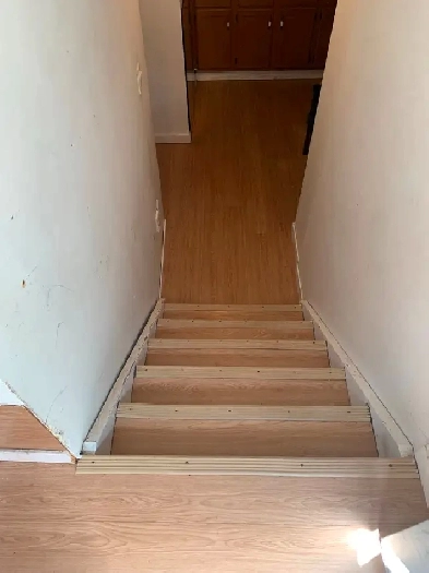 Basement for Rent  in Falconridge - Available August 1 Image# 5