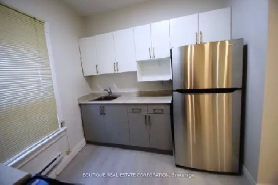 1 Bedroom Apartment For Rent Near BLoor & Dundas St W $2050 Image# 1