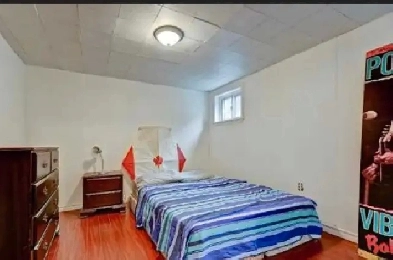 entire 3 bedroom basement for rent Image# 1