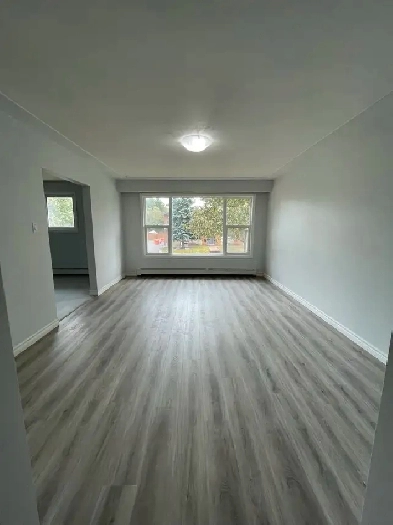 2 Bedroom Apartment Stanley Park - Newly Renovated Image# 1