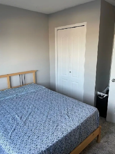 Room for rent in Leduc Image# 1