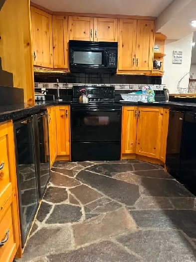 1 Bedroom Walk-out Apt. for rent (Frunished) Image# 7