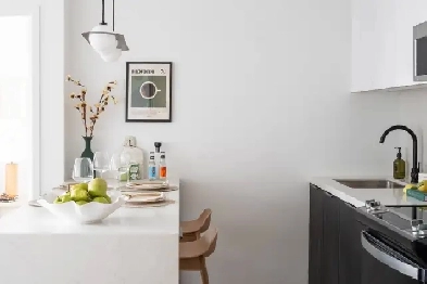 Premium 1 Bedroom for Rent Image# 7