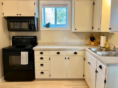 One Bedroom Basement Suite for Rent Image# 1