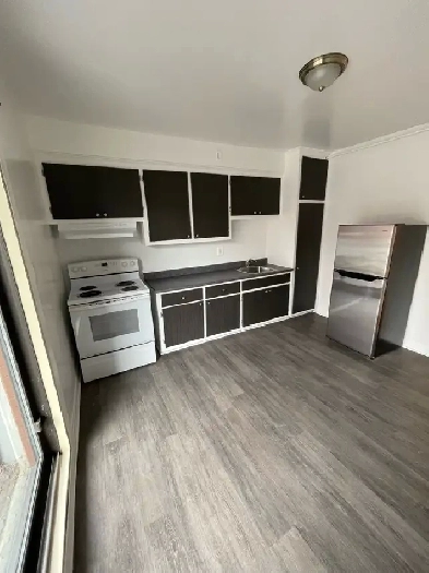 GRAND 3.5 RENOVÉ À AHUNTSIC-PROMENADE FLEURY Image# 5