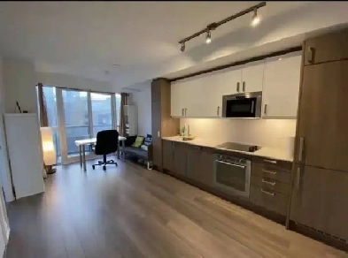 1 bedroom Condo Dundas and Jarvis Image# 7