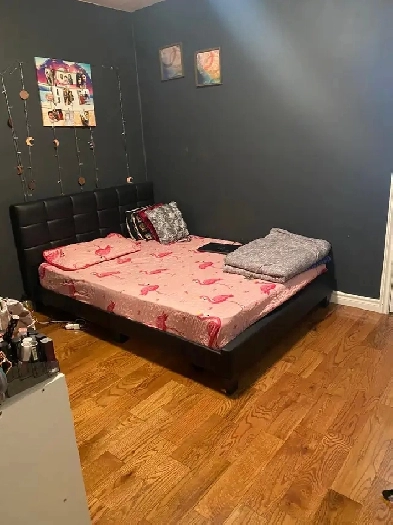 Room for rent ,step to MOHAWK,move in NOW Image# 1