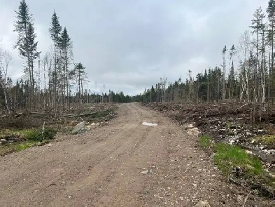 Ste-Apolline-de-Patton : Terre à bois 558 acres Image# 1