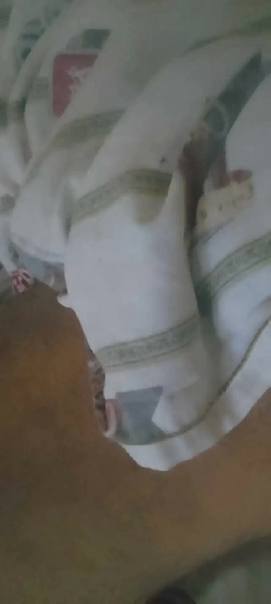 chambre a louer 400$ Montreal Pierrefond Image# 1