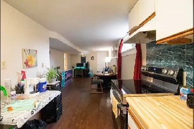 Spacious 1bd - Basement Apartment Image# 1