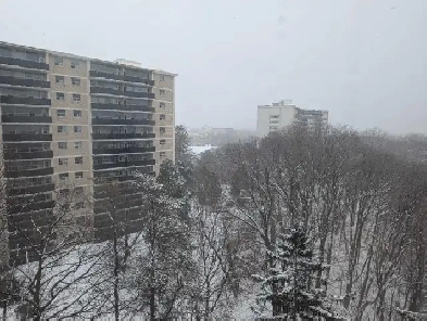 Full appartment/ Private room in a 2 bed 1 bath appartment Image# 1