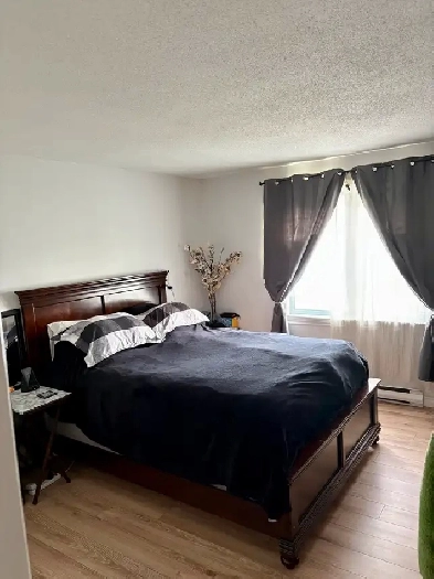 2 bedroom appartment - 2 parkings Image# 4