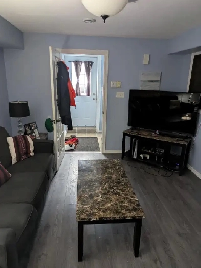 2 BDRM Basement Apartment for Rent in Paradise Image# 7