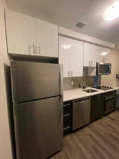 Room in a 2-bedroom apartment - Ottawa University - Sandyhill Image# 10