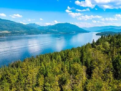 3560 Eagle Bay Rd.- 105 ACRES! Development! Luxury Estate! Image# 5
