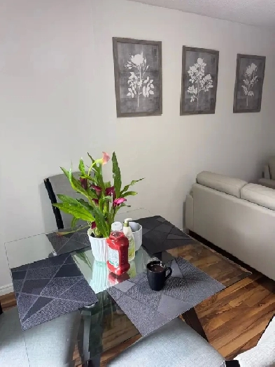 renting room Image# 10