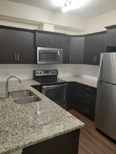 Large 2 Bed Suite Image# 7