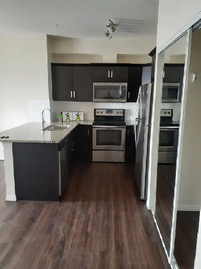 Bright, spacious 1 Bedroom Suite Image# 3
